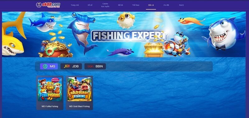 Hướng dẫn cài đặt app EK88 cho điện thoại thông minh nhanh chóng 